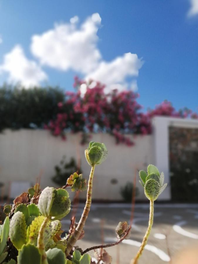 Mouras Resort Livadi  Exterior photo